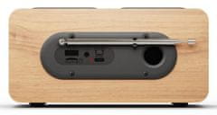 Blaupunkt Drveni radio DR10CR