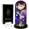 Nikcorp LED vječna ruža u staklenoj kupoli poklon za Valentinovo Romantični crveni cvijet u crnoj poklon kutiji, visina 21,3 cm, promjer 11,2 cm, LED diode, podnožje borovo drvo, napajanje 3xAAA (nisu
