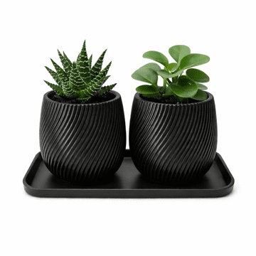 Mi Set od 2 mini saksije za cvijeće s crnim tanjurićem