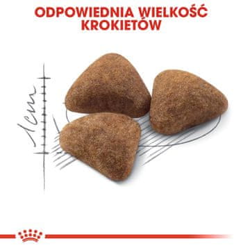 ROY Royal Canin FHN Indoor hrana za odrasle mačke, piletina 4kg