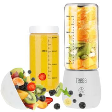 Prijenosni bežični putni blender sa staklenom šalicom 450ml 100W Teesa