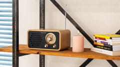 Kruger&Matz AM/FM mrežni radio s RETRO teleskopskom antenom