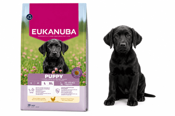 Eukanuba Dog Breeder Puppy Large suha hrana za pse s piletinom 18 kg