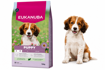 Eukanuba Puppy Junior Small Medium Lamb Rice suha hrana 12 kg