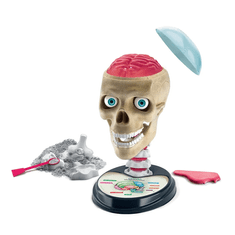 Clementoni Anatomia. Clementoni 50697