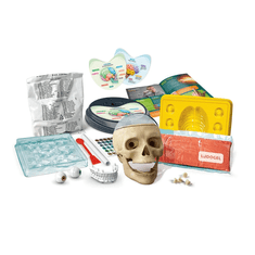 Clementoni Anatomia. Clementoni 50697