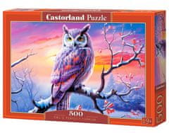 Castor Puzzle 500 el. Idealan sovin večer