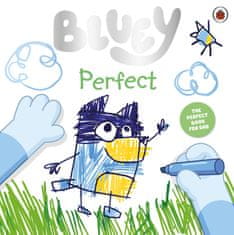 Ladybird Bluey. Perfect