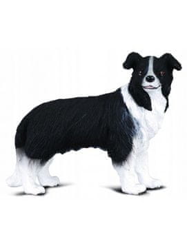 COLLECTA Collecta pas border collie