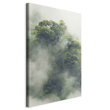 Artgeist Slika - Maglovita Amazonija (1 dio) vertikalna