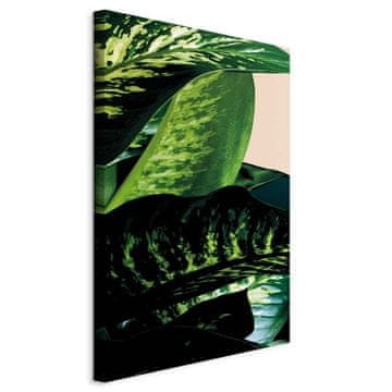 Artgeist Slika - Difenbahija (1-dijelna) vertikalna