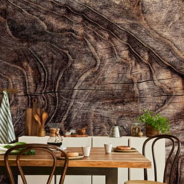 Artgeist Foto tapeta - Znaci vremena - apstraktna pozadina s naboranom korom starog stabla