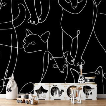 Artgeist Foto tapeta - Mačje navike - prva varijanta