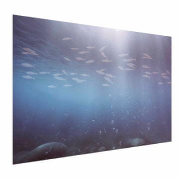 Artgeist Poster - Riba u dubini