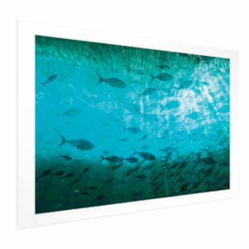 Artgeist Poster - Jato tamnih riba