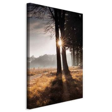 Artgeist Slika - Mi smo zraka sunca (1 dio) vertikalna