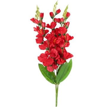 Buket od 5 crvenih gladiola, visina 60 cm