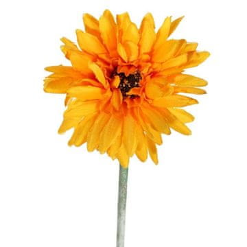 Gerbera pojedinačni cvijet, svijetlo narančasta boja