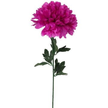 Krizantema, pojedinačni cvijet, promjer 20 cm, ružičasta