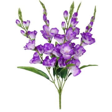 Buket od 5 ljubičastih gladiola, visine 60 cm