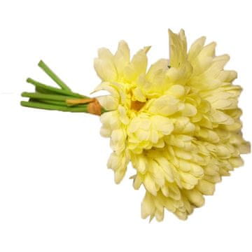 Buket od 7 gerbera na gumenim stabljikama u krem boji
