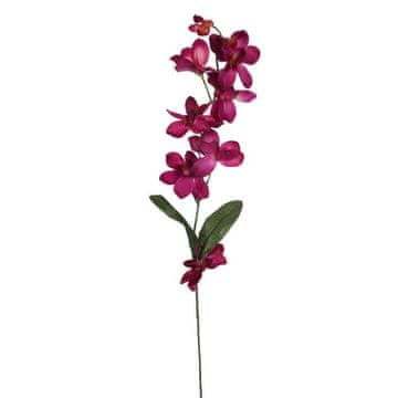 Orhideja grančica bordo boja 66 cm