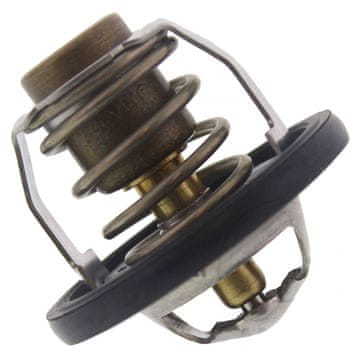 TOURMAX termostat (TMT-301)