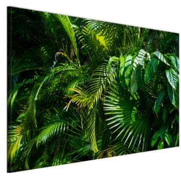 Slika na talijanskom platnu 90 x 60 cm - stil džungle - priroda Slika na talijanskom platnu 120 x 80 cm - stil džungle - priroda