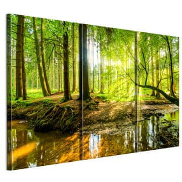 Slika na talijanskom platnu 90 x 60 cm triptih - eklektični stil - priroda Slika na talijanskom platnu 120 x 80 cm triptih - eklektični stil - priroda