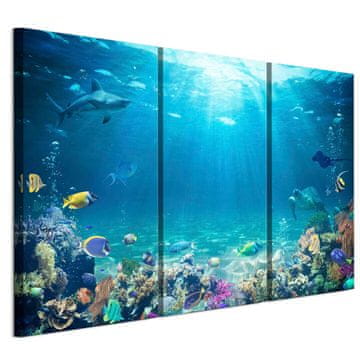 Slika na talijanskom platnu 90 x 60 cm triptih - životinje Slika na talijanskom platnu 120 x 80 cm triptih - životinje