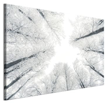 Slika na talijanskom platnu 90 x 60 cm - skandinavski stil - priroda Slika na talijanskom platnu 120 x 80 cm - skandinavski stil - priroda