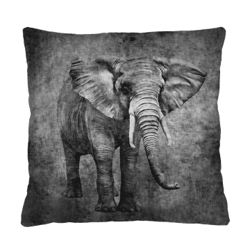 Bertoni Jastuk - KONGO 40x40 cm