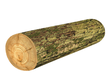 Bertoni Jastuk na valjku - Mossy Ø16x55 cm