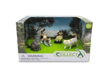 COLLECTA SET OD 4 FIGURICE MAČAKA Sijamske domaće mačke U PAKIRANJU 84218 3+