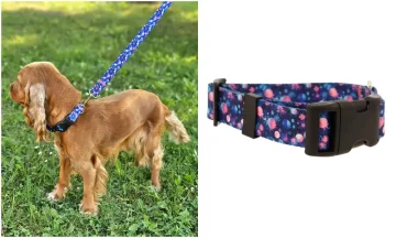 Podesiva ručno izrađena ogrlica za pse ASTROWORLD Podesiva ručno izrađena ogrlica za pse ASTROWORLD XS: 20-28 cm