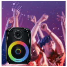 Prijenosni bežični Bluetooth zvučnik TWS RGB LogiLink 10W EQ RGB BT5.0