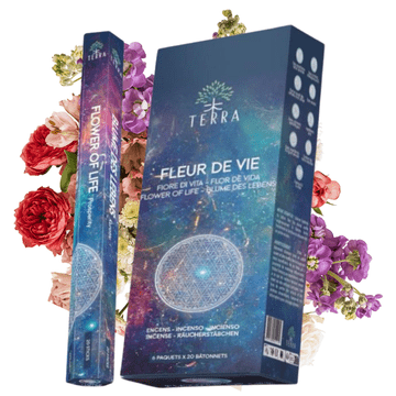 TERRA Flower of Life mirisni štapići 20 kom. Cvjetni
