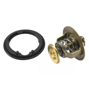 Wahler 4269.78D Termostat, rashladno sredstvo