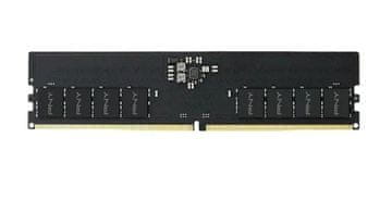 PNY PNY Performance 32GB DDR5 5600MHz CL46 memorija