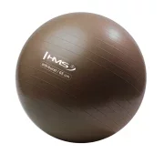 HMS YB02 nova 65CM gimnastička lopta otporna na pucanje HMS