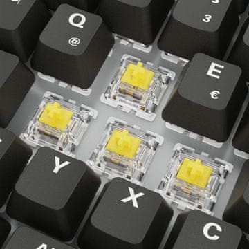 Sharkoon Sharkoon SGK50 S3 Gaming tipkovnica QWERTZ njemačka, crna