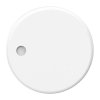 Sensor VICTRON ENERGY RuuVi TAG senzora okoliša (4u1), Bluetooth