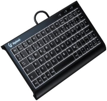 slomart KeySonic KSK-3011ELC (DE) tipkovnica USB QWERTZ, crna