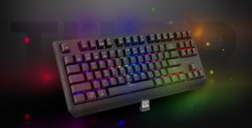 Genesis Genesis Thor 230 TKL tipkovnica Gaming USB + RF Wireless + Bluetooth, siva