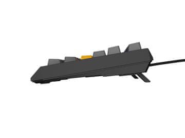 Genesis GENESIS THOR 230 TKL Gaming tipkovnica USB + RF Wireless + Bluetooth, višebojna