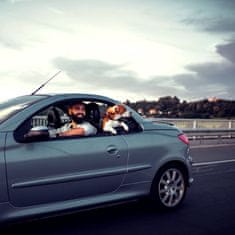 Northix Automobil s bravom pedale