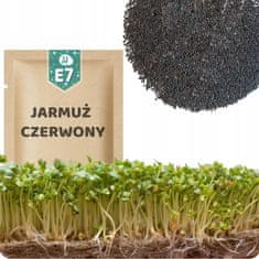 E07 SJEMENKE KLIJA - CRVENI RUSKI KELJ 10G