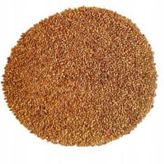 E11 SJEMENKE KLIJALICE - LUCERKA 20G