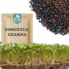 E06 SJEMENKE KLICA CRNE GOLOŠICE 20G