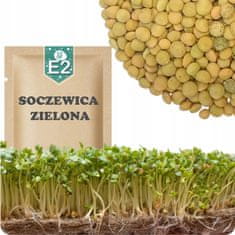 E02 KLIJE SJEMENKE ZELENA LEĆA 20G